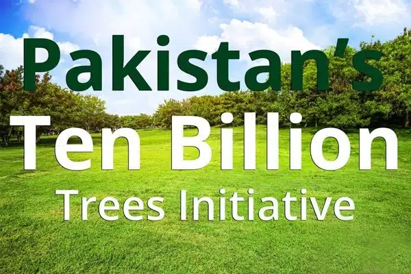 Pakistan Becomes the Fastest Country to Fight Climate Change